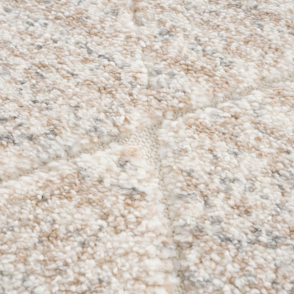 Talas Trellis Area Rug in Cream Rug