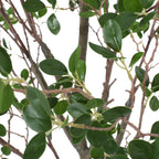 150CM ARTIFICIAL MILAN LEAF BONSAI