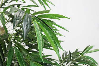 7FT Artificial willow Tree, Indoor Faux slik Greenery Plant for Home, Apartment, or Office Decoration, 1pc/set