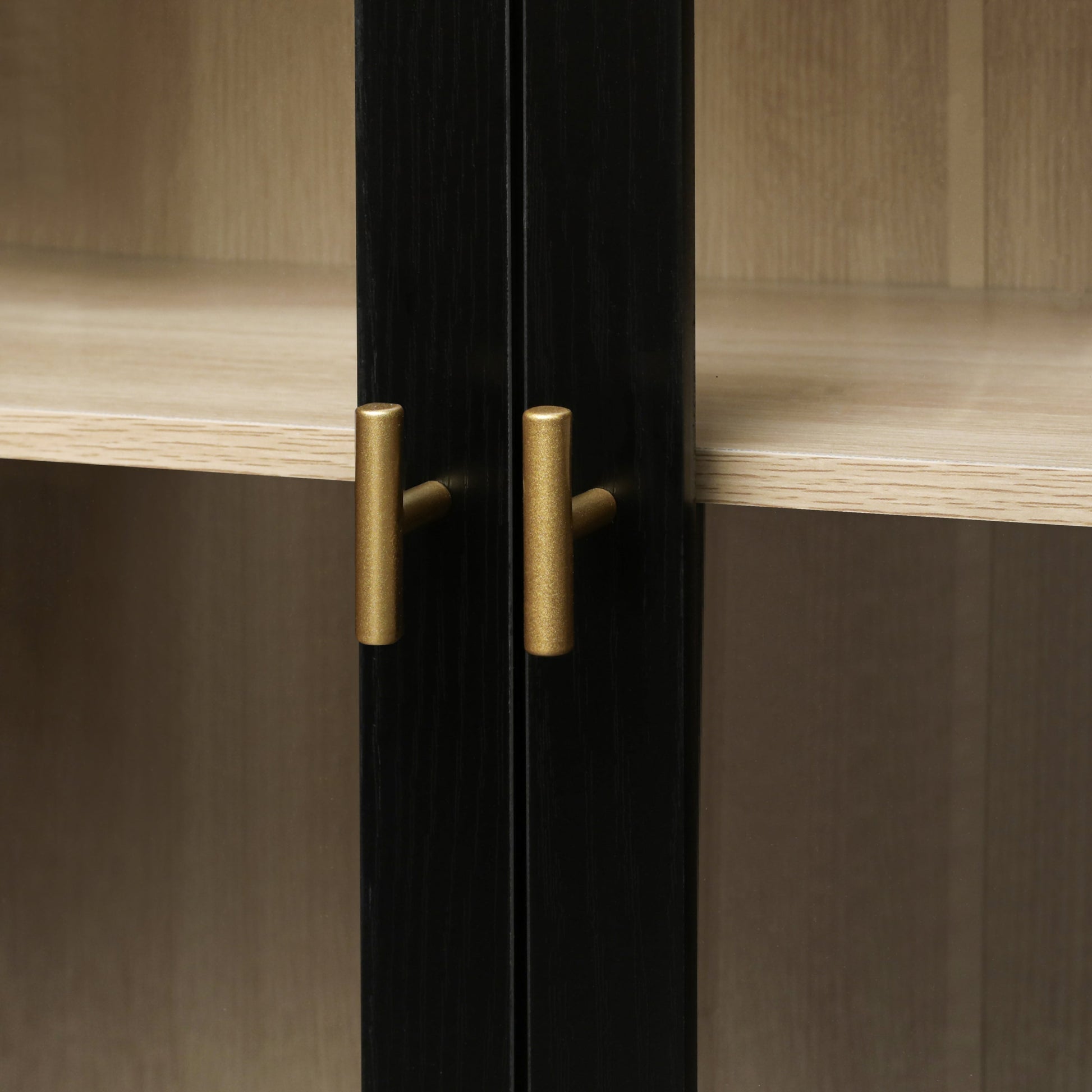 Storage Cabinet with Acrylic Door for Living Room, Dining Room, Study