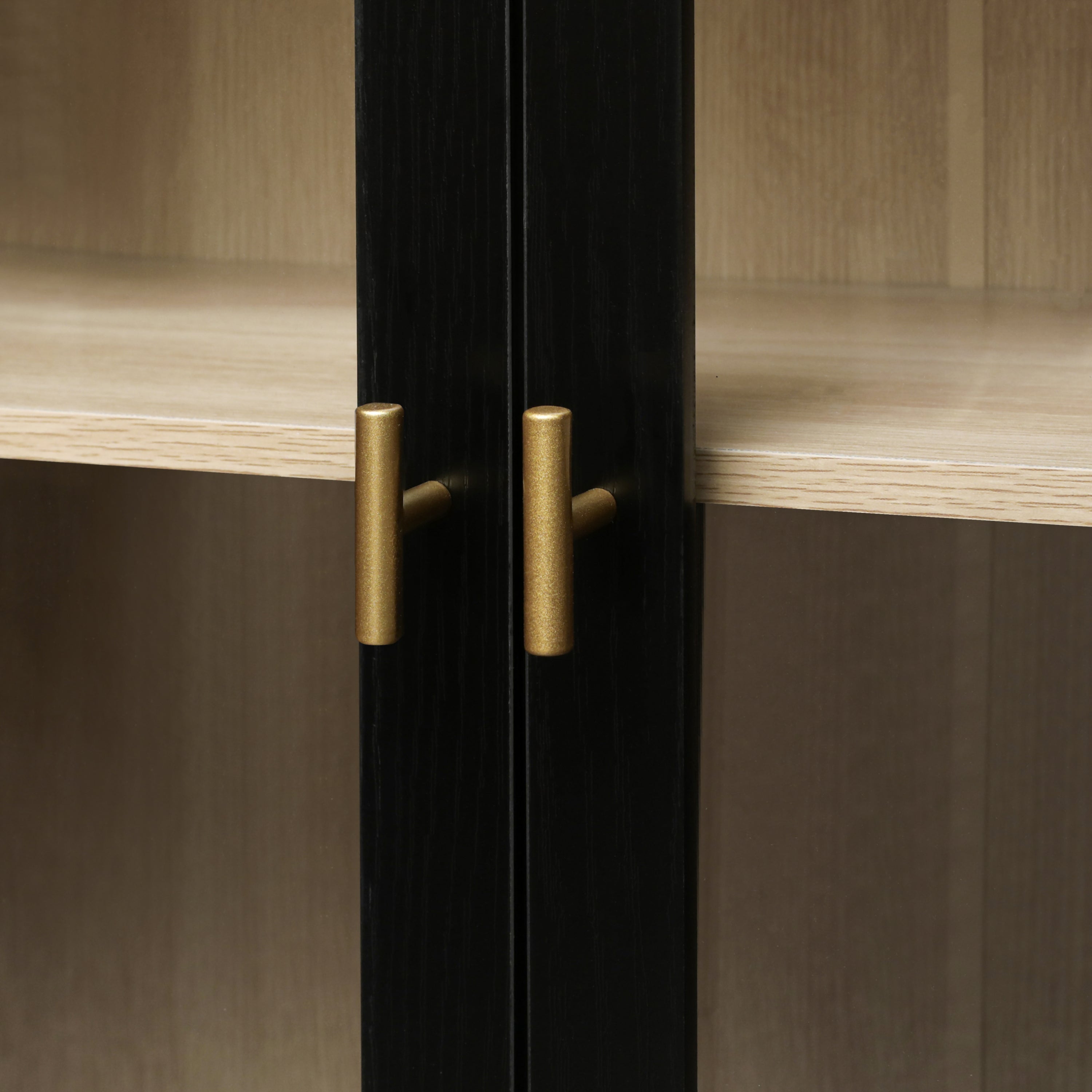 Storage Cabinet with Acrylic Door for Living Room, Dining Room, Study