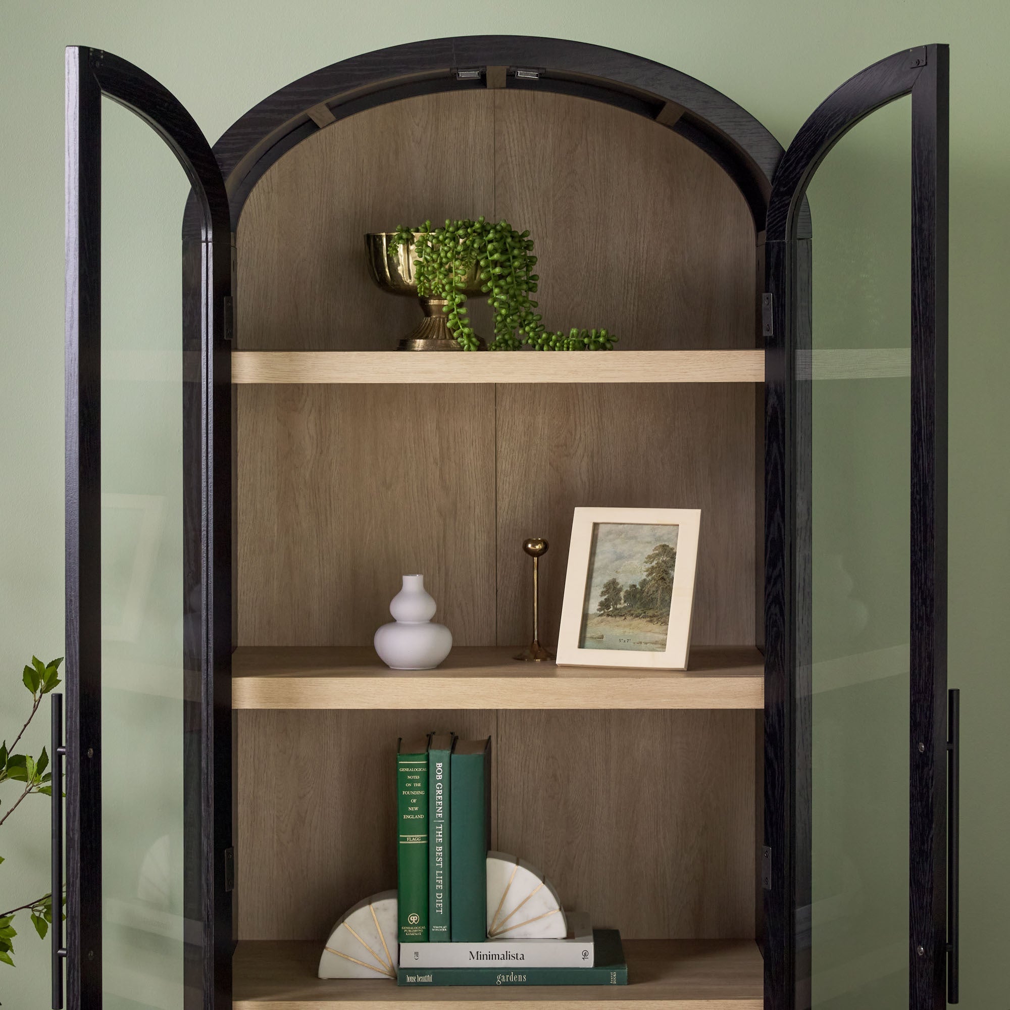 Modern 5 Shelf Arched Tall Bookcase with Glass Doors - Groovy Boardz