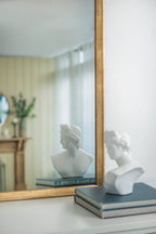 19"x56" Wood Floor Mirror, Full Body Mirror Dressing Make up Mirror for Bathroom Bedroom Living Room - Groovy Boardz