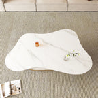 Modern Butterfly Coffee Table with Sintered Stone Top – Oval Center Table with Storage Shelf & Drawer, Stainless Steel Base & MDF Cabinet