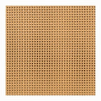 Lily Pond Woven Cane Queen Platform Bed Natural Wood Toasted Almond Finish 63x86 Inches Bed Frame