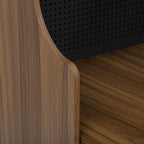 Mid-Century Modern Walnut Vintage Multi-use Cabinet With Cat scratcher Bed cat friendly furniture