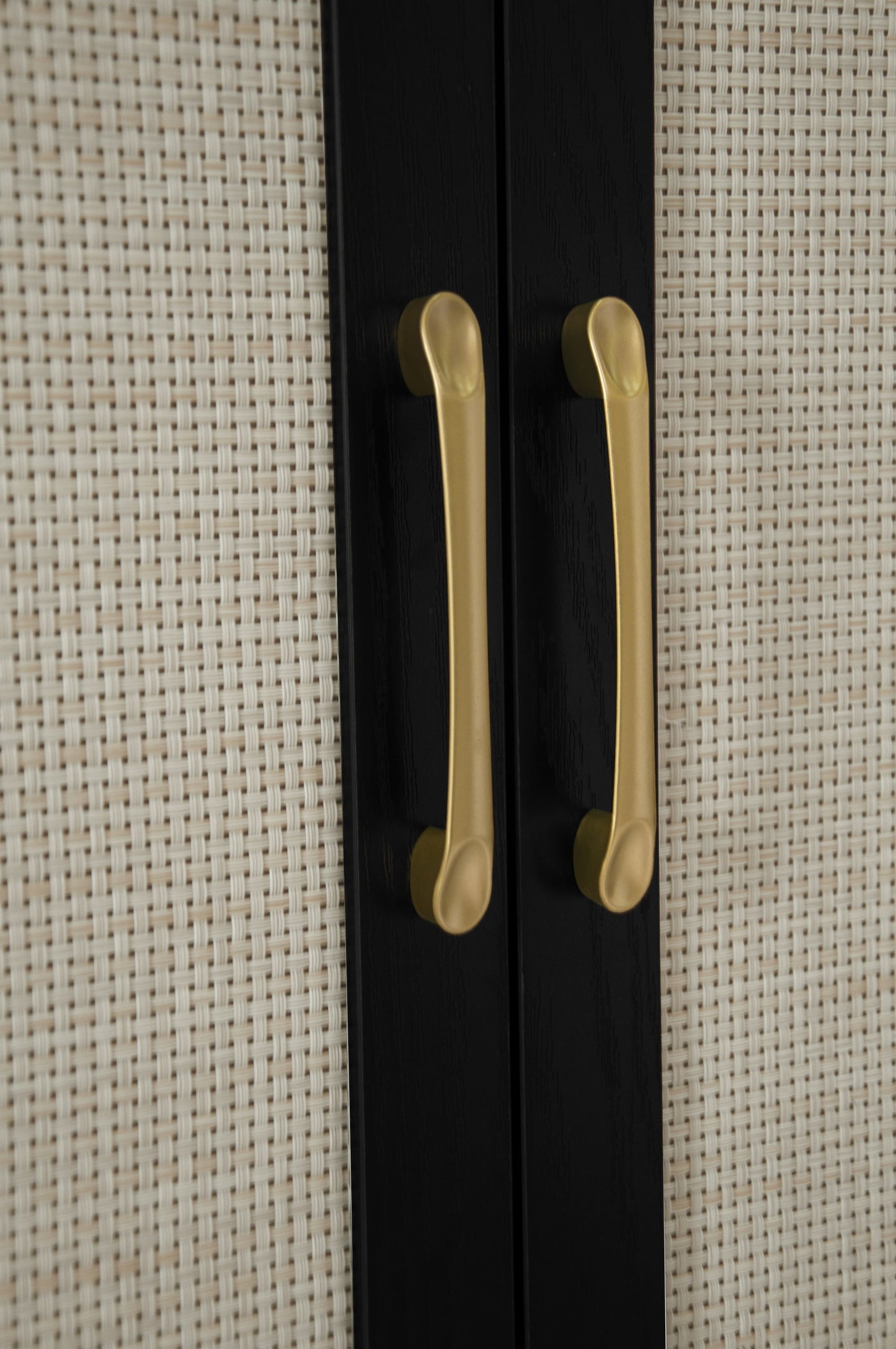 James Modern Storage Cabinet