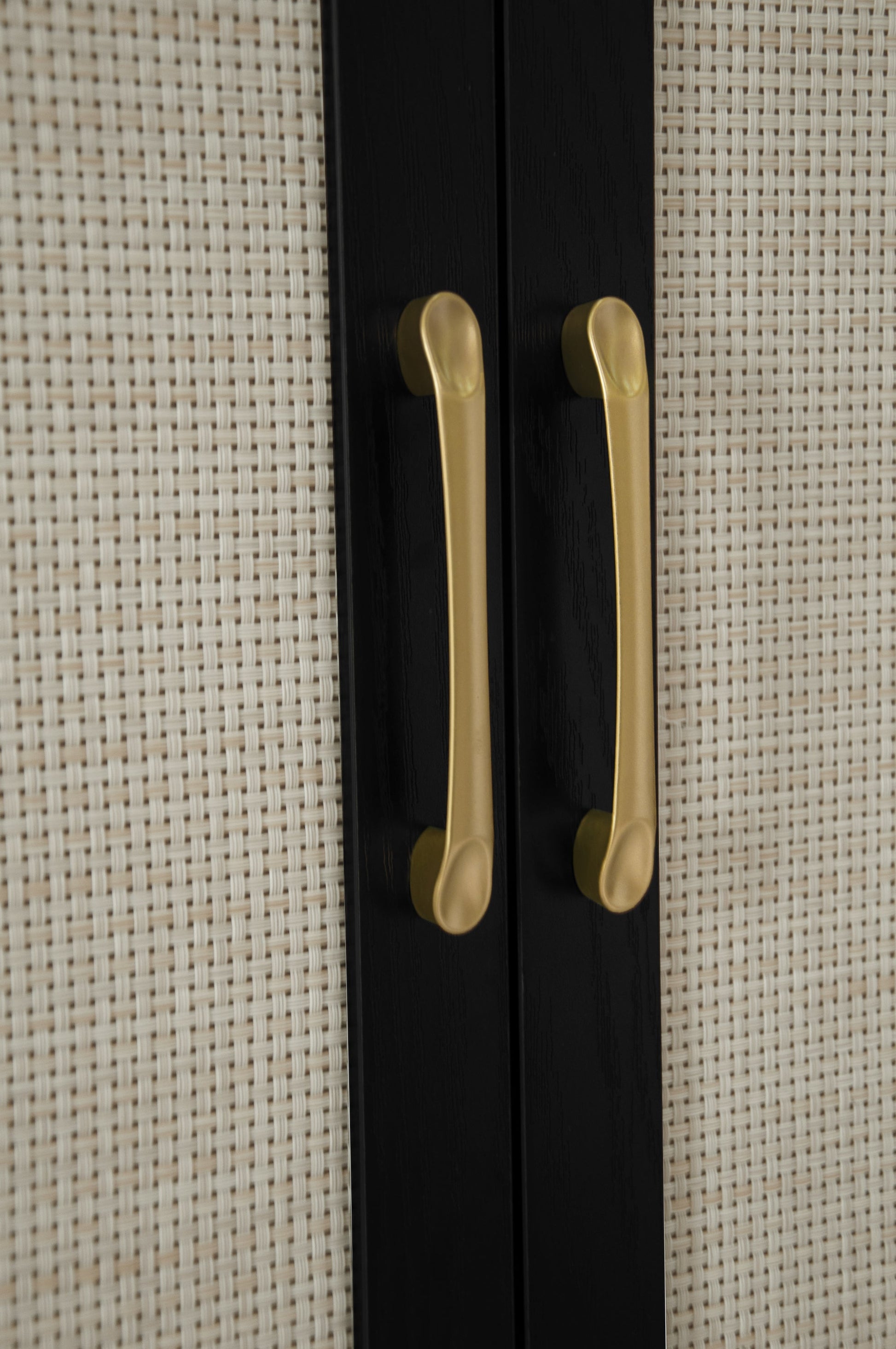 James Modern Storage Cabinet