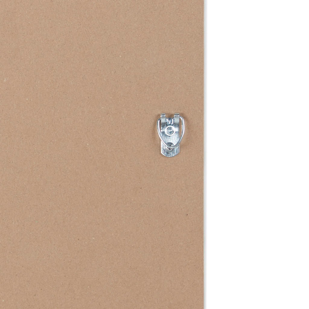 Eucalyptus 2-piece Framed Canvas Wall Decor Set