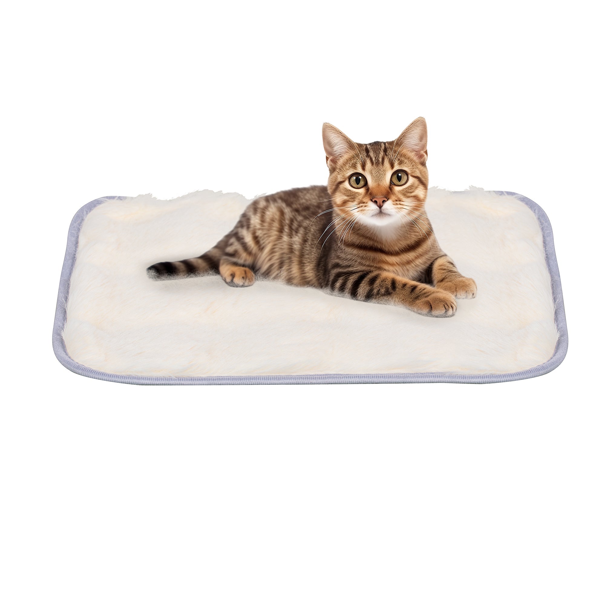 Mid-Century Modern style 2 in 1 PET FRIENDLY Walnut TV STAND Cat house With Sliding glass door flip-down