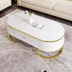 Modern Oval Coffee Table with Drawers,Curved Profile Design, Gold Metal Decor, Center Table for Living Room in 47.2'