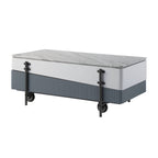 Wilkins Gray & White High Gloss Finish Coffee Table W/Lift Top