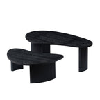 2-Piece Modern Irregular Coffee Table Set for Your Living Room.