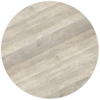 Top view of the Elmbrook Drum Coffee Table showcasing its smooth, round rustic white mango wood surface with natural grain patterns.