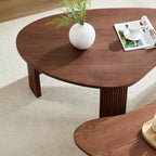 2-Piece Modern Irregular Coffee Table Set for Living Room.