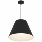 16 inch Diameter Integrated LED Black Pendant.