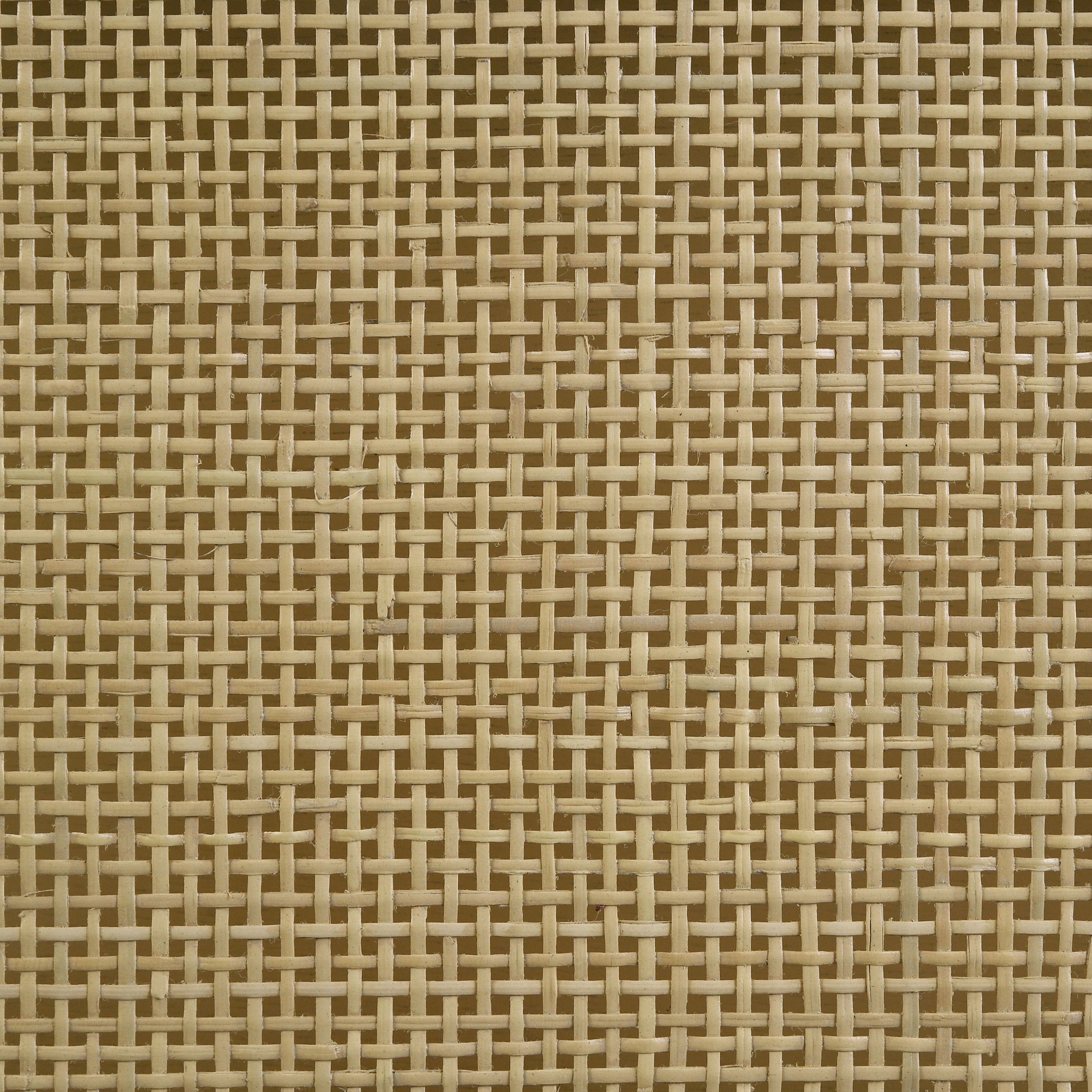 23958815