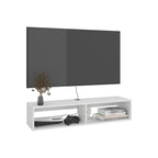 Entertainment Center Shelley for Modern Living Rooms.