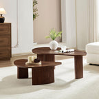 2-Piece Modern Irregular Coffee Table Set for Living Room.