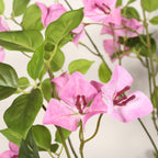 22393425
