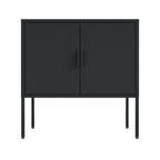 Ava 24' Metal Accent Cabinet in Black