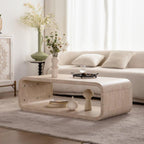 Modern Light Wood Coffee Table with Open Storage.